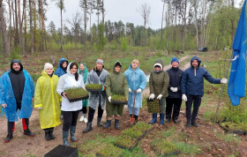 Let’s renew the forest together!