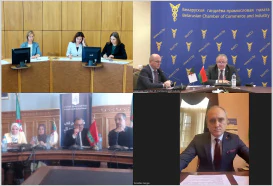 Belarus-Algeria online meeting
